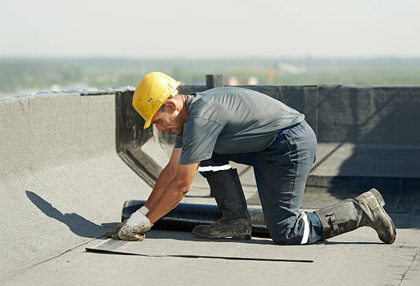 Best Insulation Repair Services  in Wye, MT